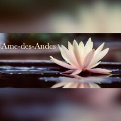 Accompagnement en conscience et bien-être